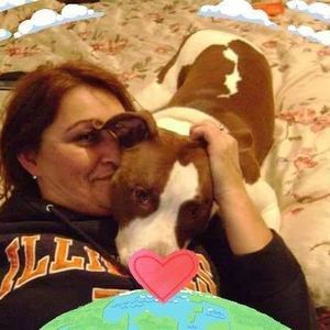 Meet your Posher, Donna